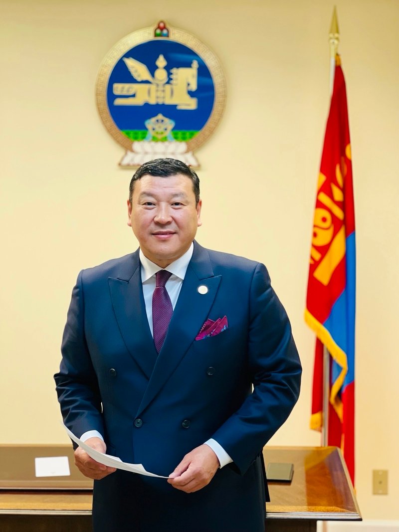 Монгол бол хамгийн мулгуу усан тэнэг улс. Хамгийн чухал  гуравдагч хөршдөө наймааны англи хэлтэй. Ийм аялагч аваачаад элчин сайд болгочихдог мал улс Монголоос өөр дэлхийд байхгүй байх.Ийм Элчин сайдтай юм чинь одоо визний хоригт орохгүй яах вэ дээ. Дуус дууссан мал ард түмэн.