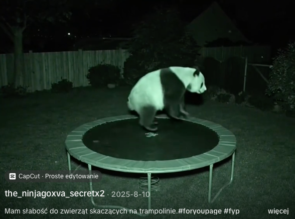 Niech Żyją! tweet media