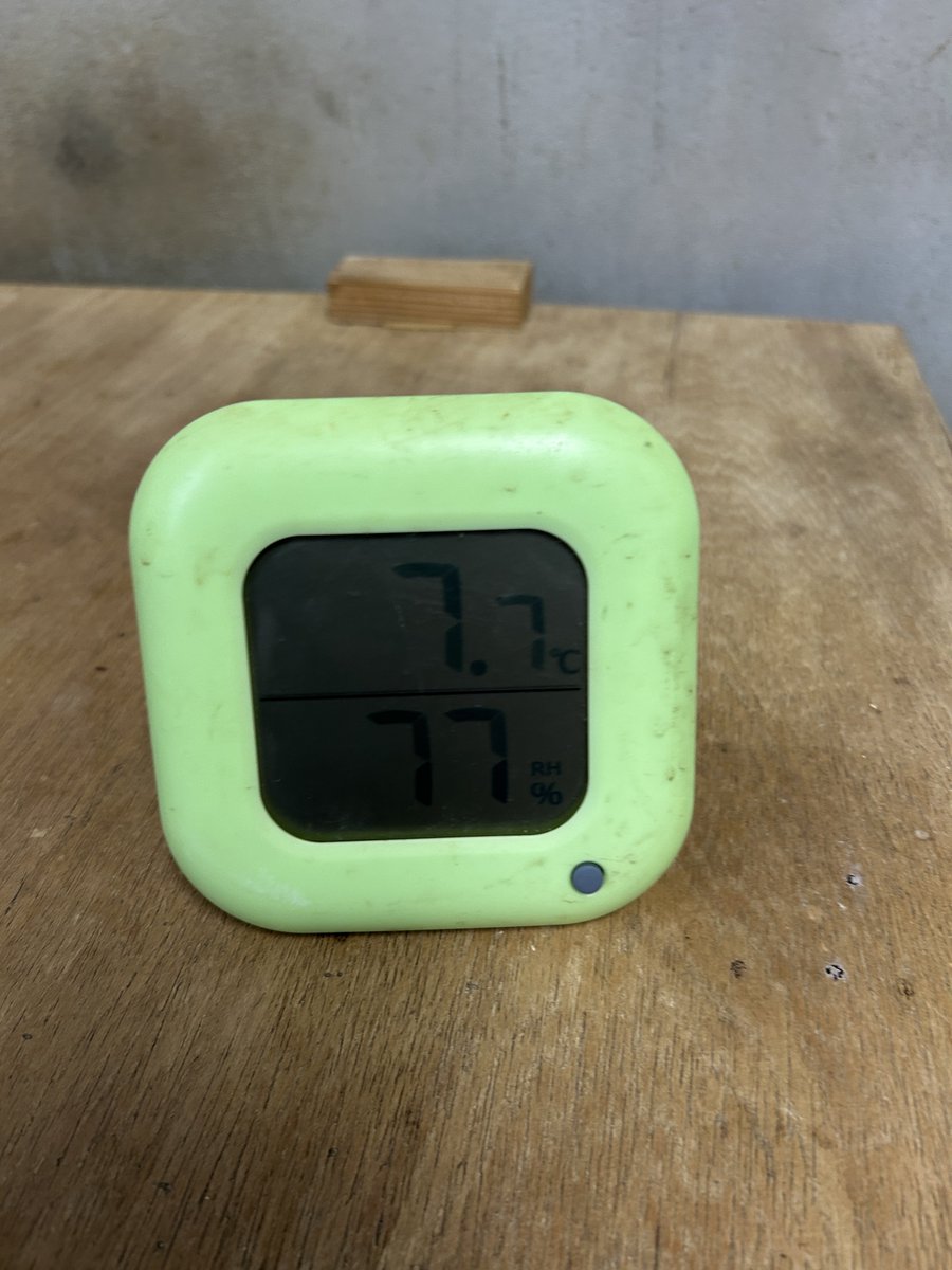 ngsbiopark's tweet image. 小さな幸せみぃつけた
レッサーパンダ舎の中で発見‼️

#ちあわせ