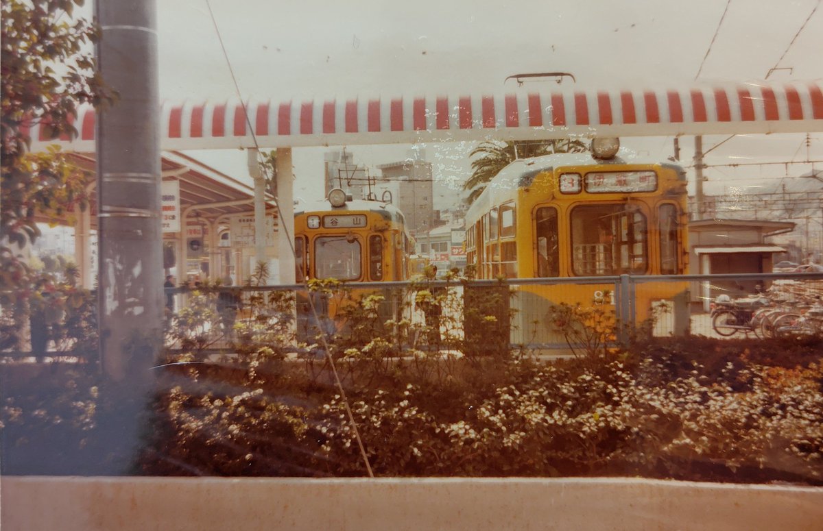 attakastory's tweet photo. 鹿児島市電 左811  右814 鹿児島駅前(昭和54年3月28日) https://t.co/SwZvaqMqWo