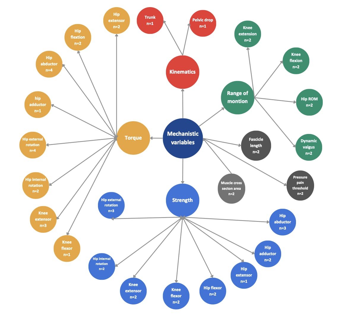 Physio Explored tweet media