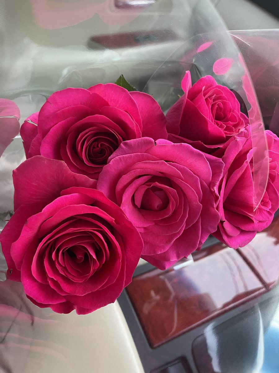 Найзыгаа баярлуулна