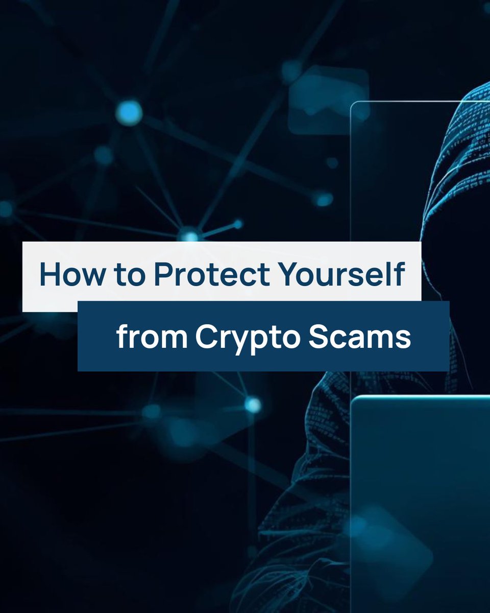 Mountain Wolf (@MountainWolfPay) / Posts / X