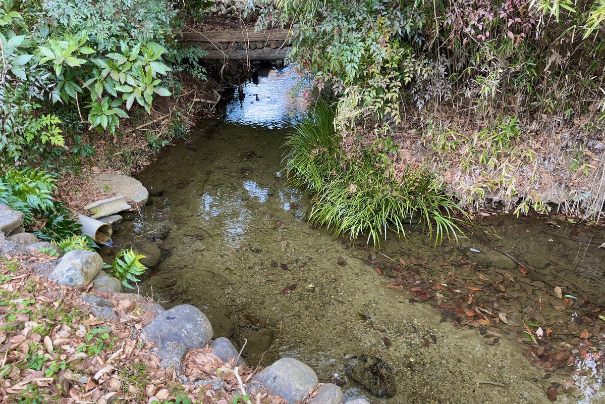 frog_frog's tweet image. 向島用水の直角カーブ
〔日野市〕