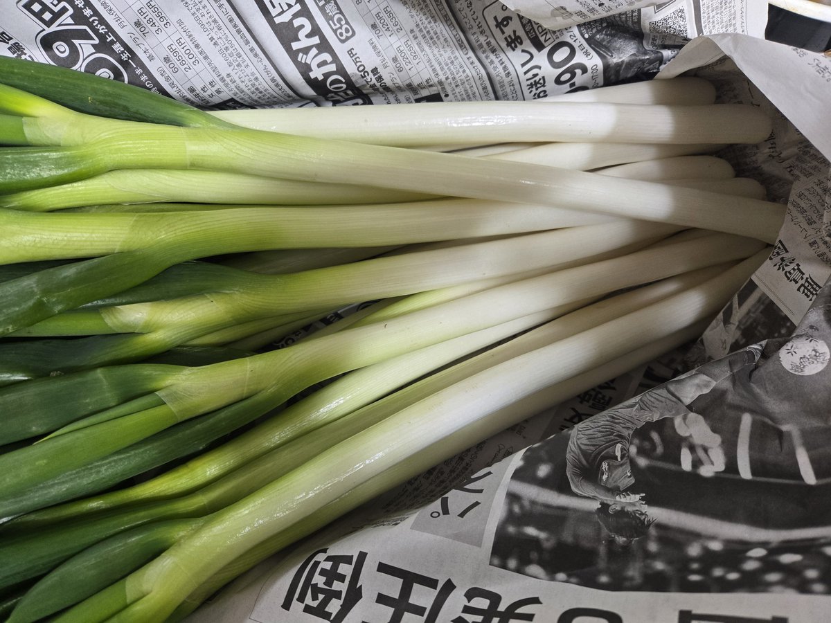 うゆ🐼 (@uyu_24_) / Posts / X