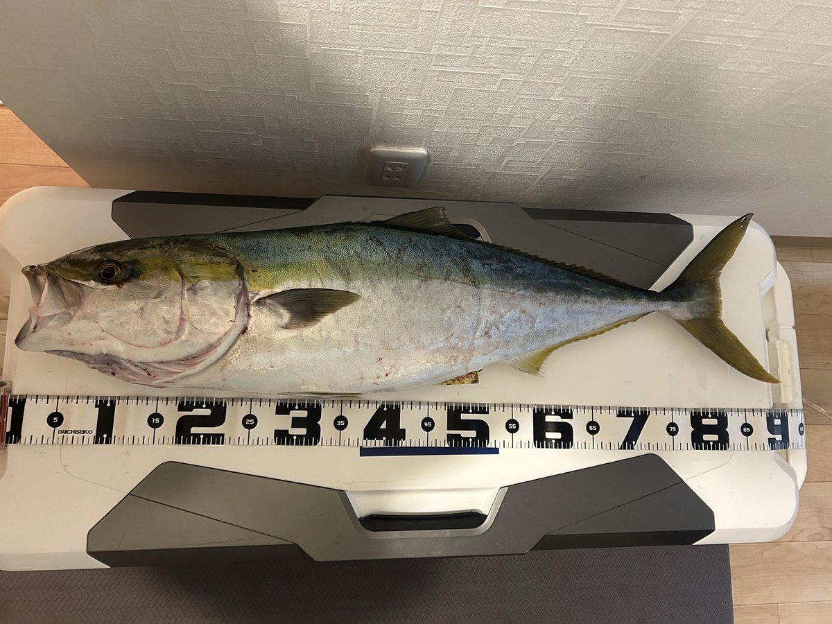 初釣りは伊勢湾ジギングへ🎣
クイックゼロワンでブリキャッチ👍