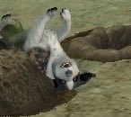 Dün gece sadece 15 dk Sims oynayabilmeme neden olan baş belası ile tanışın..😅 ASLA DURMUYOR.. Tıpkı gerçeği gibi.. dişlere bak sinsi..