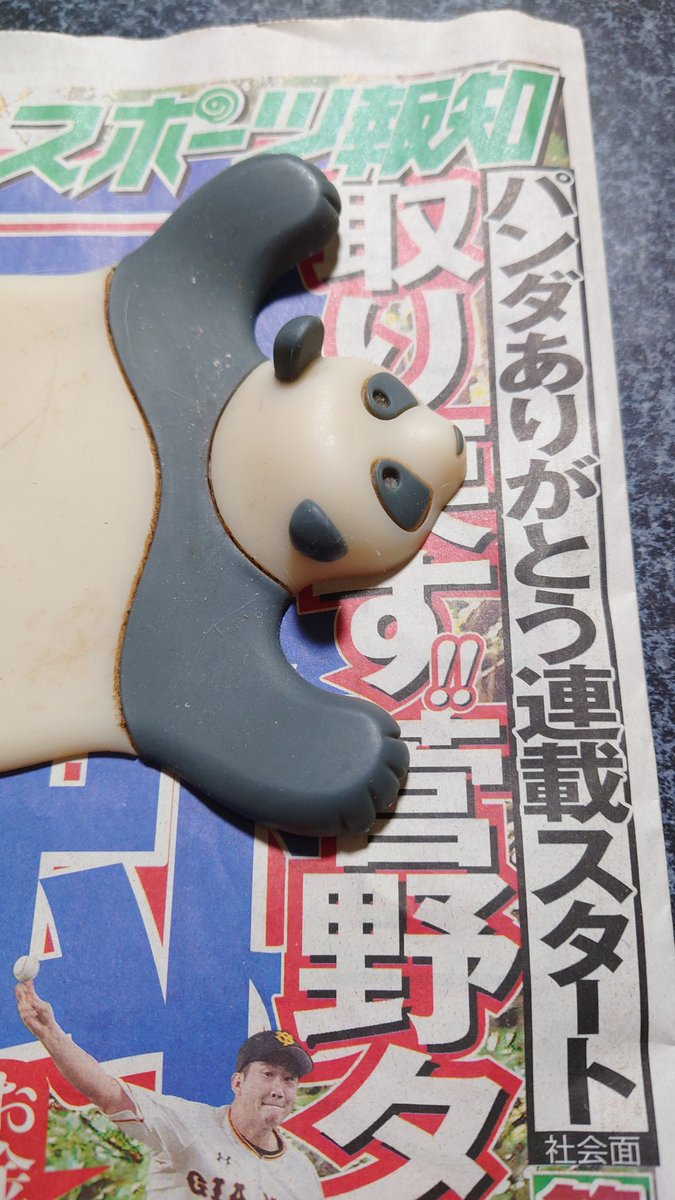 🐼< スポーツ報知 今日から「パンダありがとう連載スタート」 コンビニ