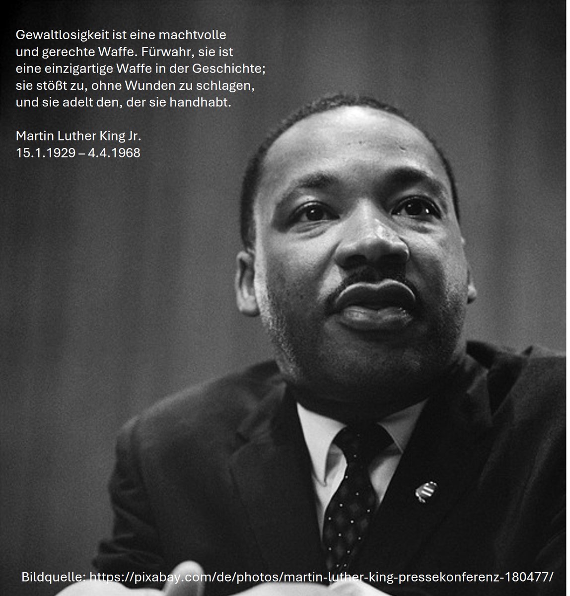 Thomas Roithner tweet media