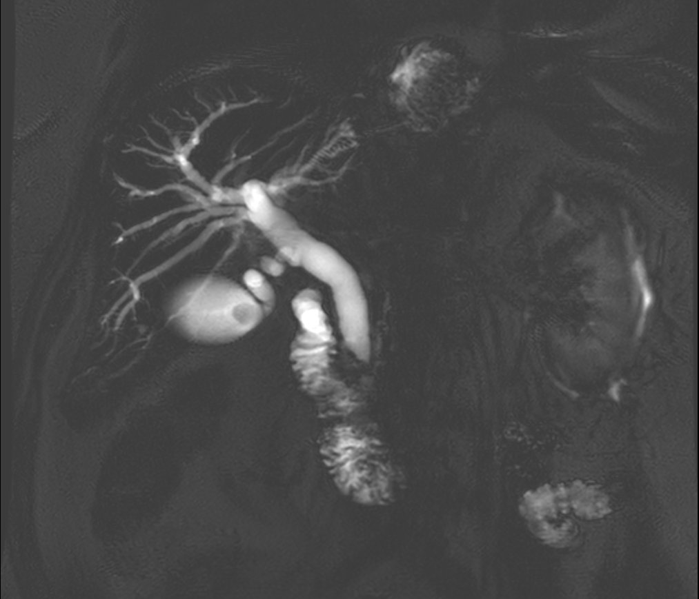 Mickaël OHANA tweet media