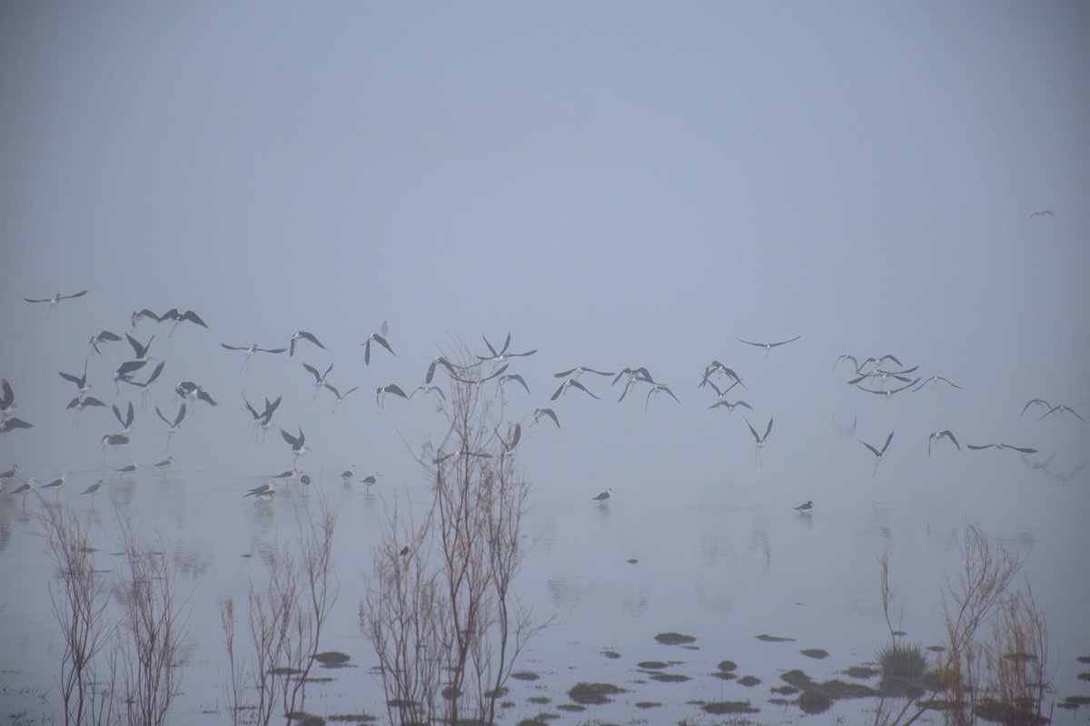 Catalina García tweet media