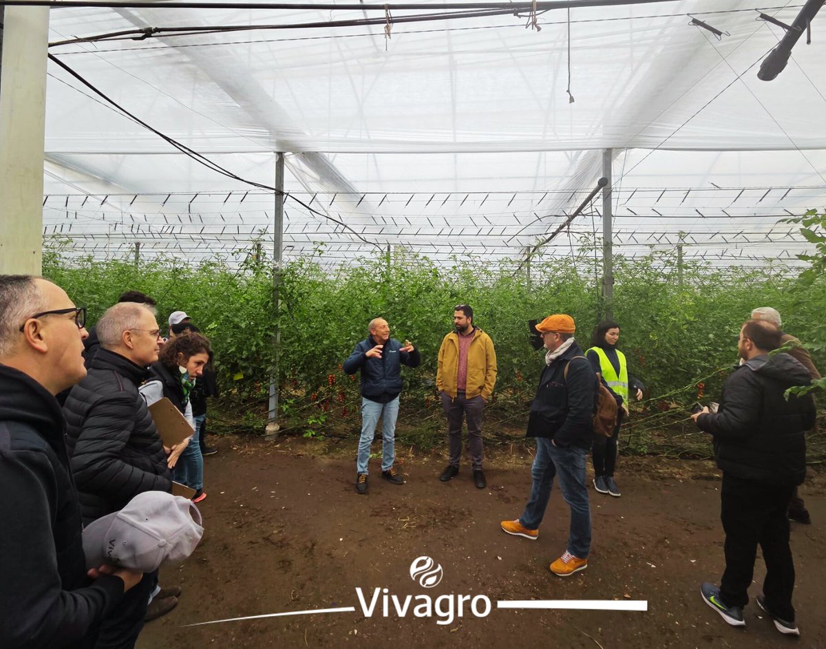 Vivagro tweet media