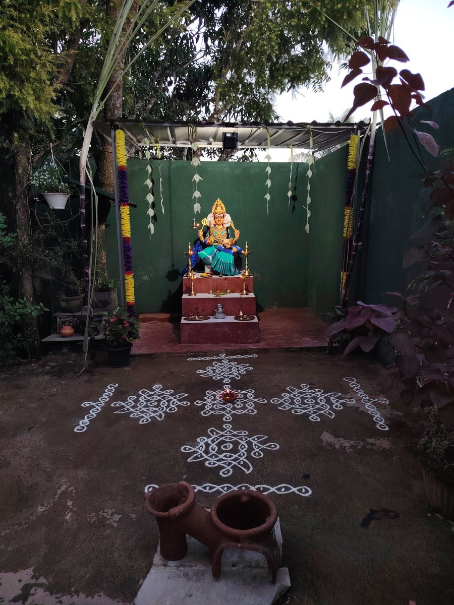 Lᴀᴅᴅu ᴋᴜᴛᴛɪ tweet media