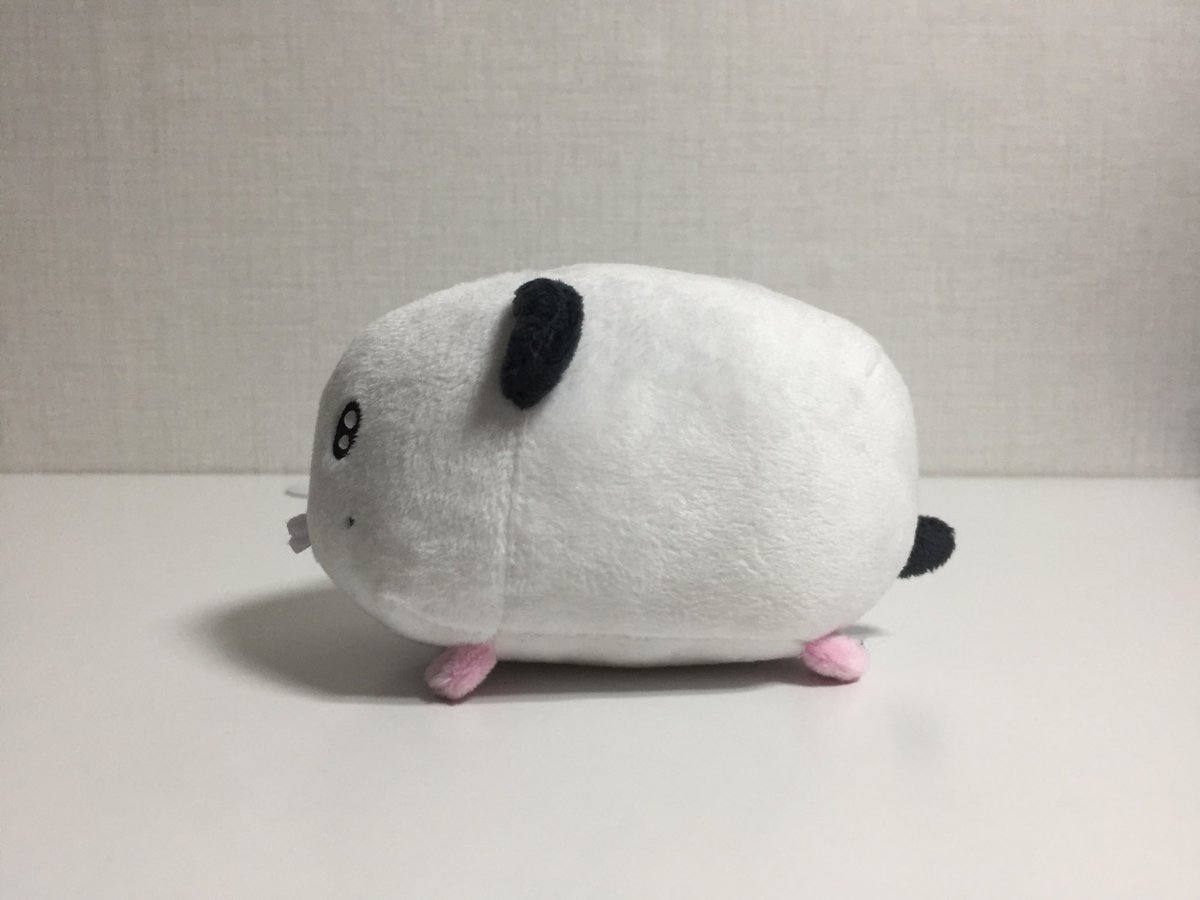 푸짐한 주둥이💋
길쭉한 몸매 
얼짱 이목구비 
그래요 내가 바로 푸지나가 피쿠에요  -з-

#사쿠야 #SAKUYA #サクヤ #NCTWISH #엔시티위시