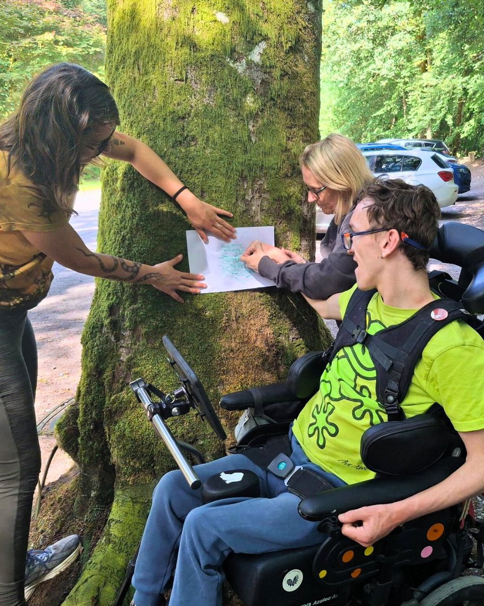 The Starfish Way tweet media