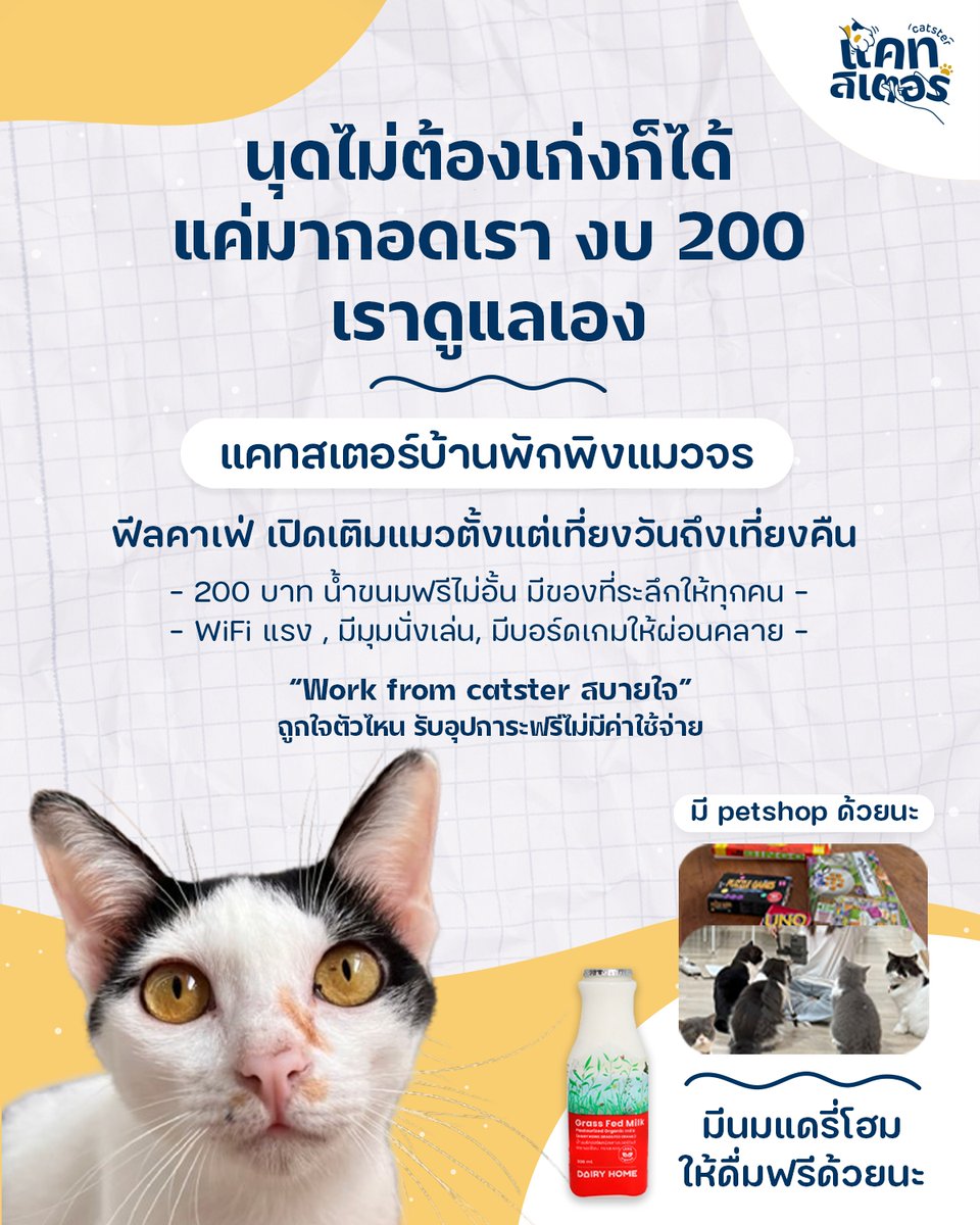 แคทสเตอร์กับการบริการใหม่!
เปิดให้กอดแมวกันตั้งแต่เที่ยงวันยันเที่ยงคืน
เอาใจคนนอนดึก หาที่ไปหลังเลิกงาน หรือ เลิกเรียน!

พบกับการบริการ
ชั้น 1 : เพ็ทช็อป สินค้าเพื่อแมว ต้องการสินค้ายามดึก นึกถึงเรานะคะ
ชั้น 2 : Wifi แรง สำหรับทุกท่านที่ต้องการหา Co working Space ในการทำงาน