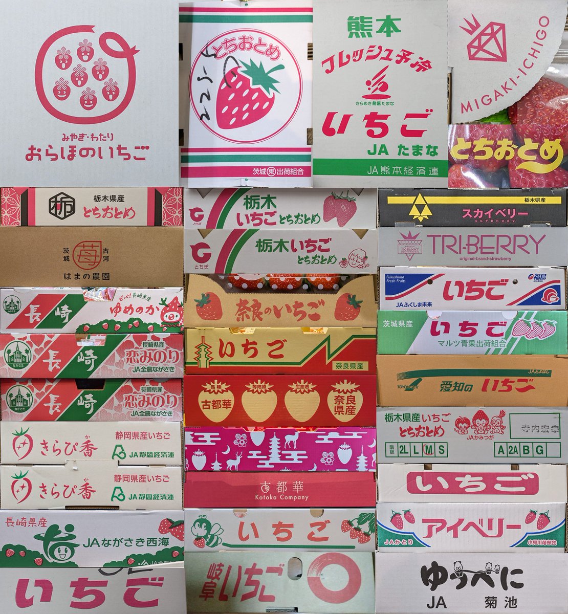 ゴンザレスさん@12/6🔔🌹オンリーG21 (@gonzarez69) / Posts / X