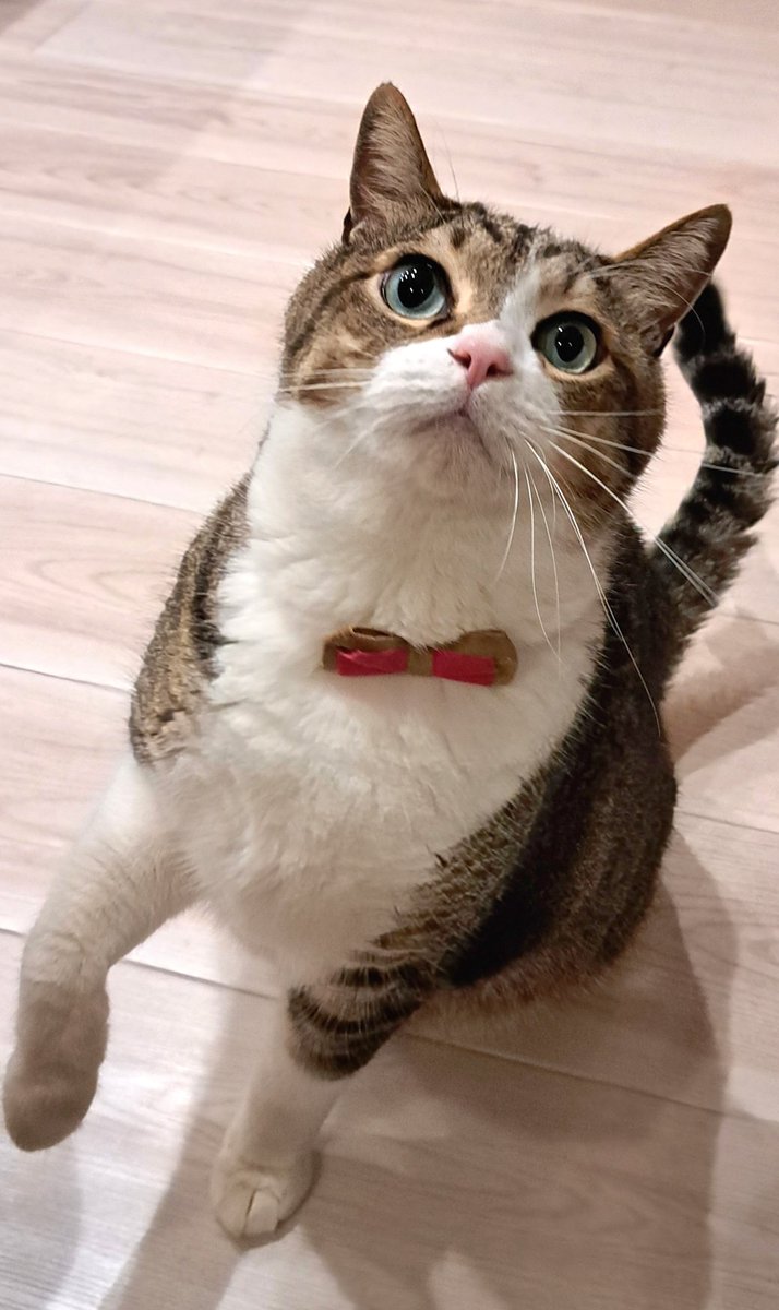 kazu✨ (@kazu0729f) / Posts / X