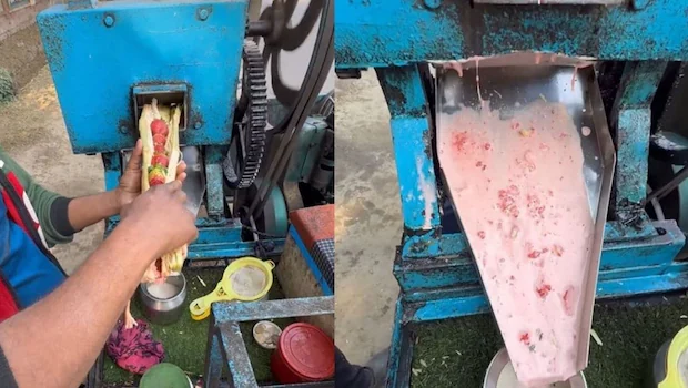 NDTVFood's tweet image. "Looks So Good": Internet Gives Thumbs Up To Viral Video Of Strawberry Sugarcane Juice
food.ndtv.com/news/matcha-fl…
#sugarcane #strawberry #juice #viral