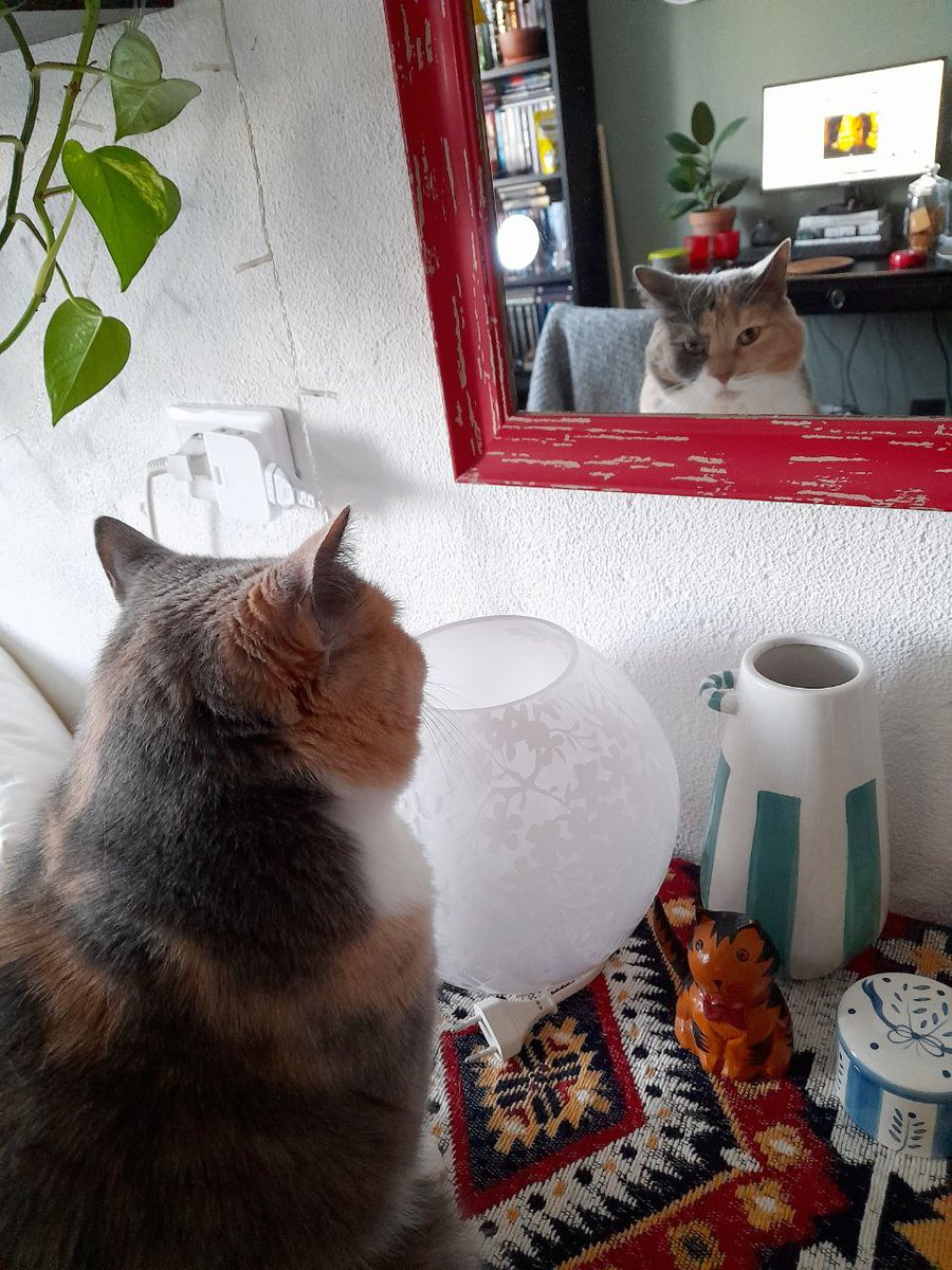 matachamatacha's tweet image. сидим