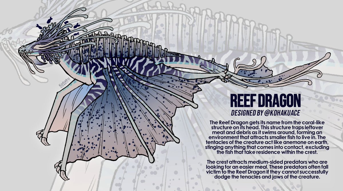Reef Dragon Design
🪼 #creaturedesign