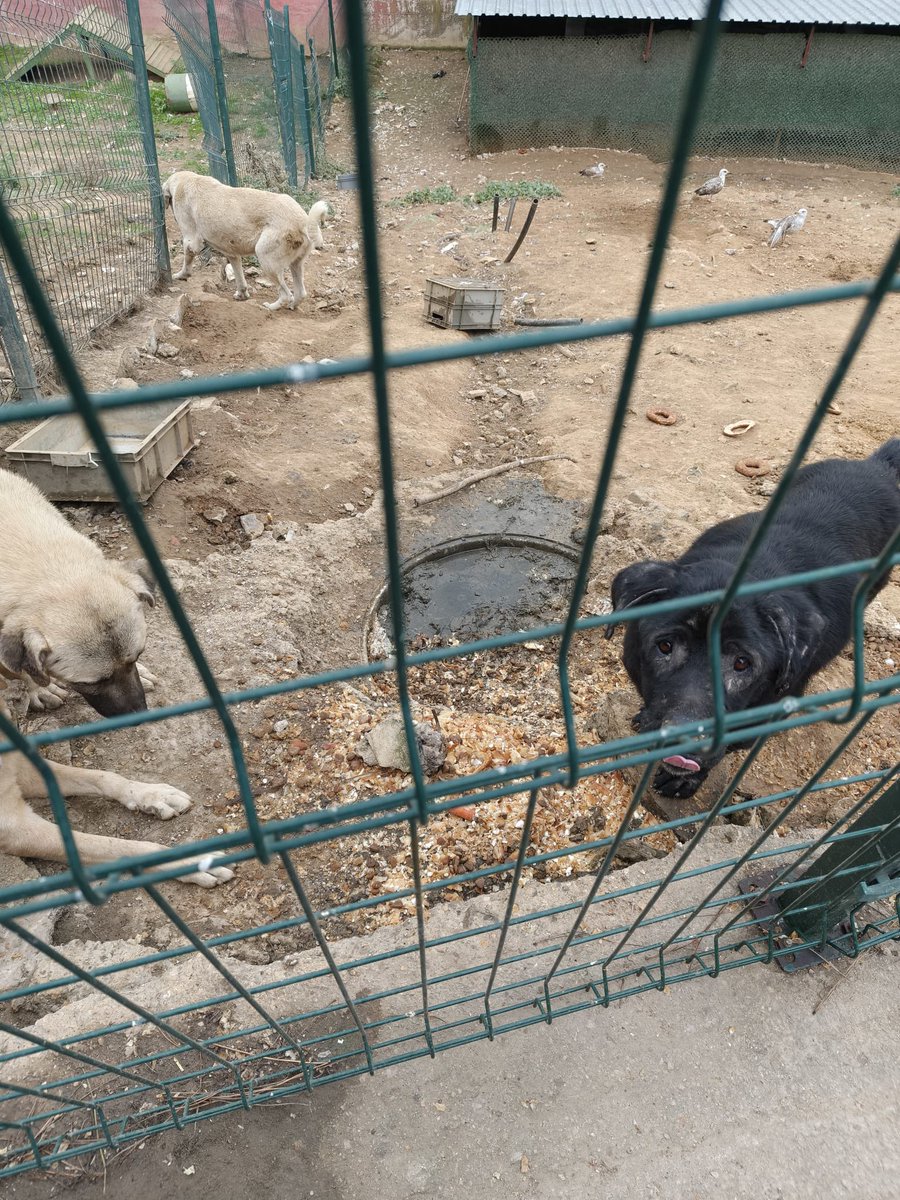 <a href="/SageRosemary1/">Sage&Rosemary</a> <a href="/ankarapatiliky/">Ankara Patiliköy</a> <a href="/_patiasigi_/">Sery</a> <a href="/naz371353/">patili dostum😼🐕hak hukuk adalet</a> <a href="/patiliseda/">patiliseda</a> <a href="/DokuzOlmaz/">OnNumara</a> Bu görüntüler nedir ? Bu yüzden mi ? girişi kapattın sadece izin verdiğin insanlar içeri girebiliyor… şimdi anlaşıldı neden müdürünü görevden aldığın