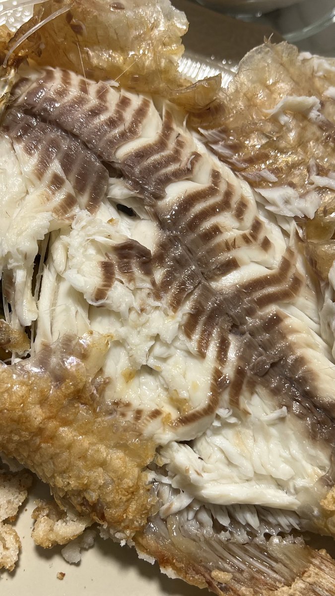 fernnnfernnfern's tweet image. ทำเป็นปกติ สะใจ ไม่ง้อร้าน