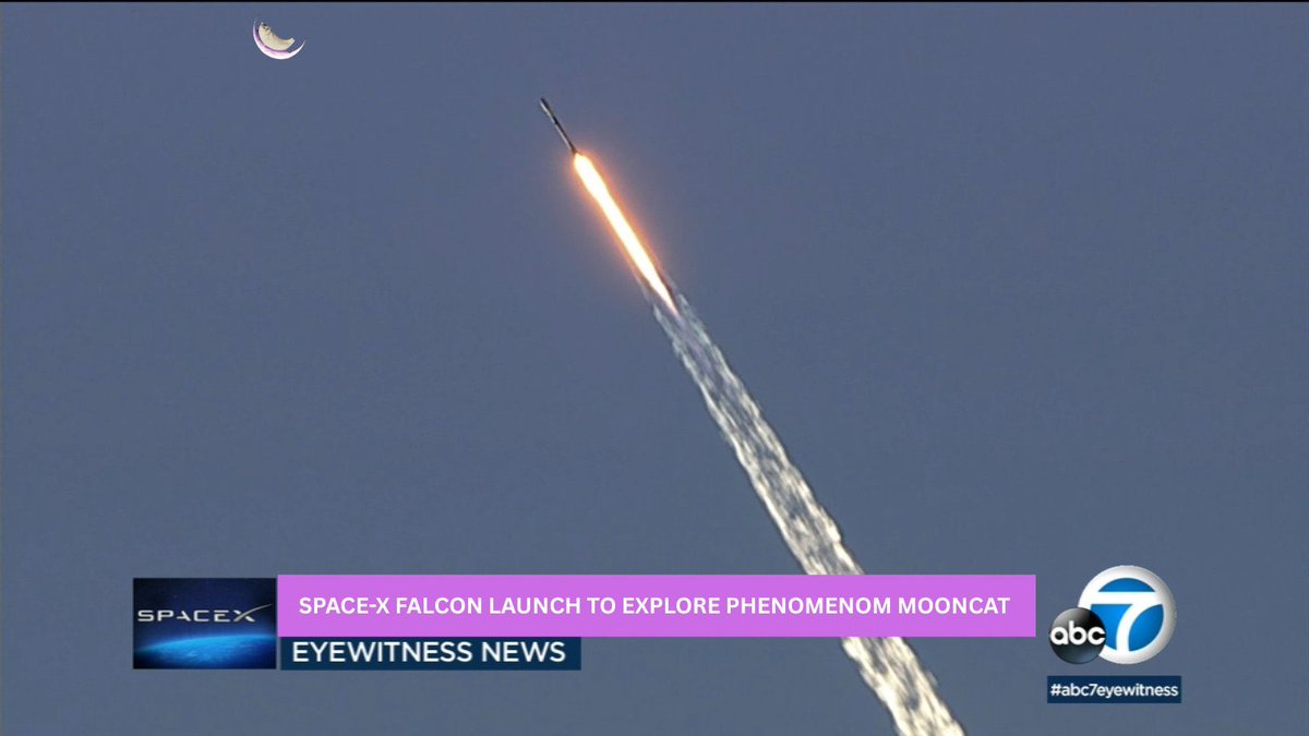 c0bbla's tweet photo. @elonmusk Can you confirm Elon?? 🌙🐱 https://t.co/baqkL5SX4c