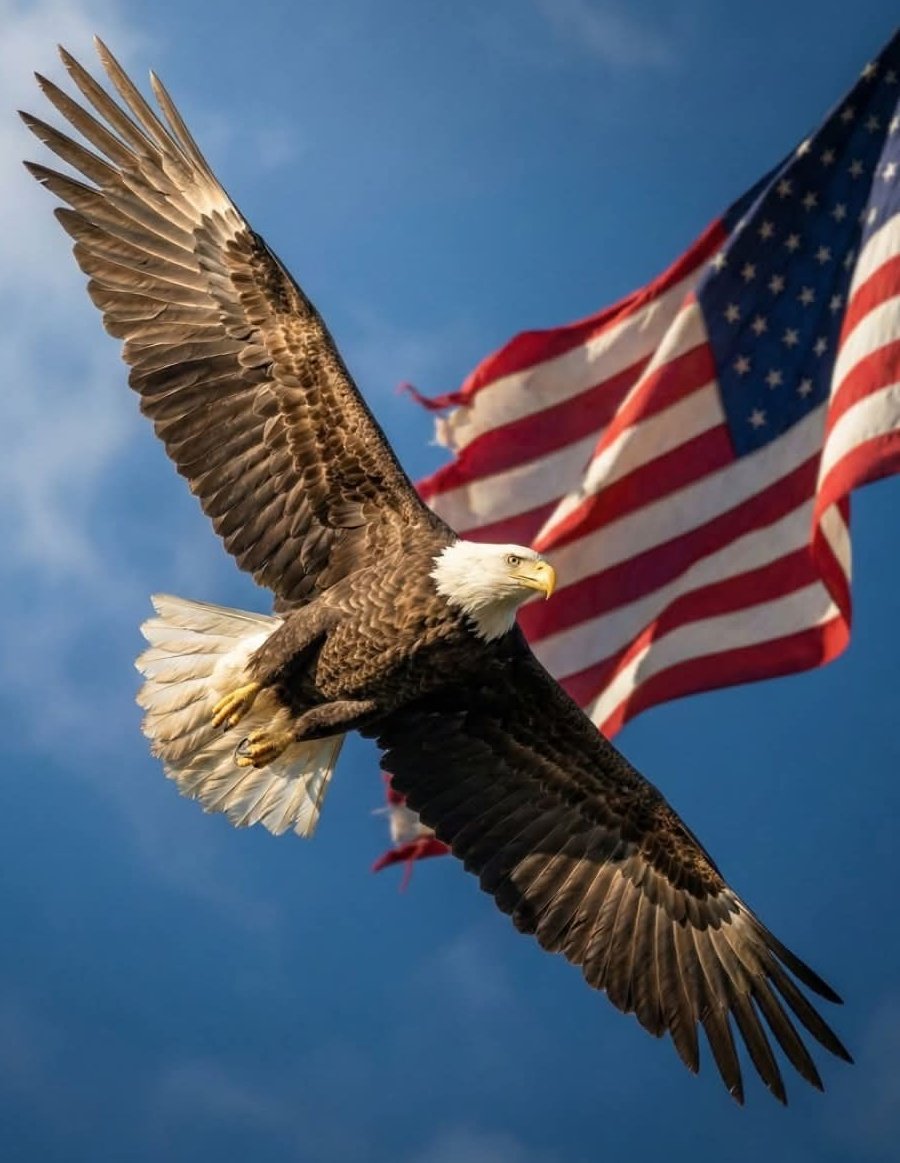 Good Thursday morning fellow patriots!
