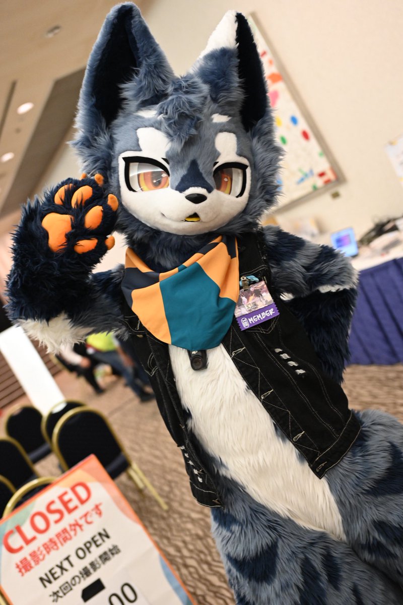 RukeNeko's tweet photo. 小狼洗澡🐺🛀🏻 https://t.co/ER28gJ6g5y