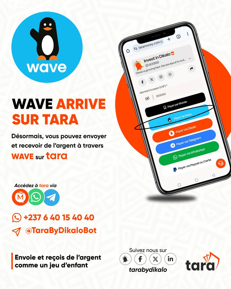 Tara By Dikalo tweet media