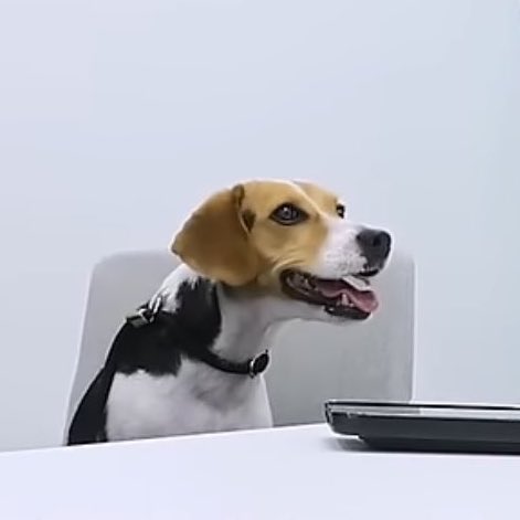 벨라야~💕 연말정산환급신청하러 온 거야? 
따지러 온 거야?