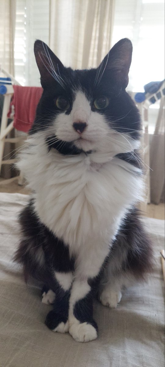 FreshRage tweet media