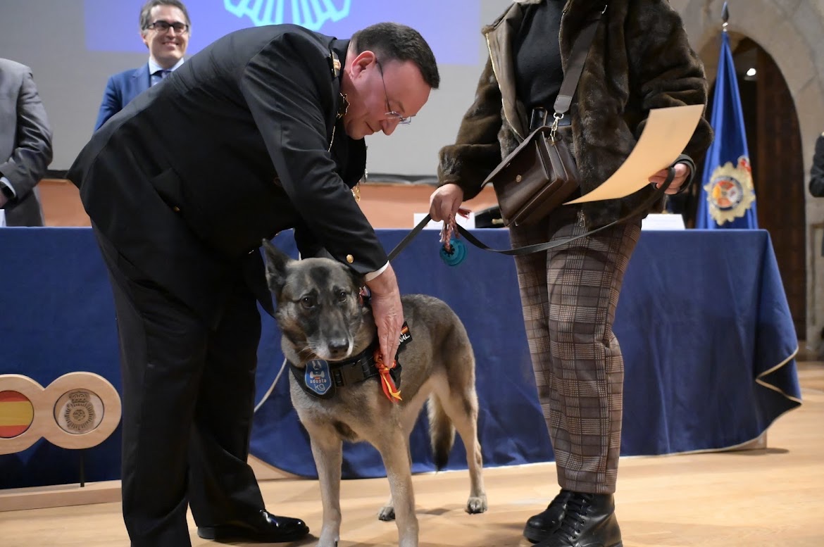 Adopta K9 tweet media