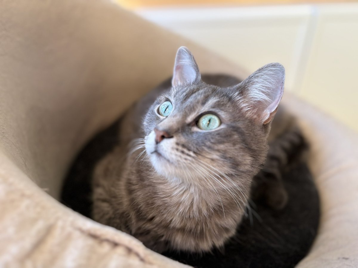 sendbitcoinz's tweet image. Камера крутится тудаво-сюдаво 😲