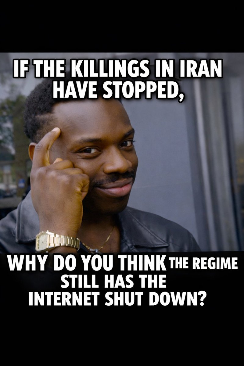 GAZAWOOD - the PALLYWOOD saga tweet media