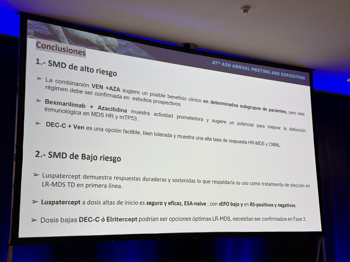 @sehh_es tweet media