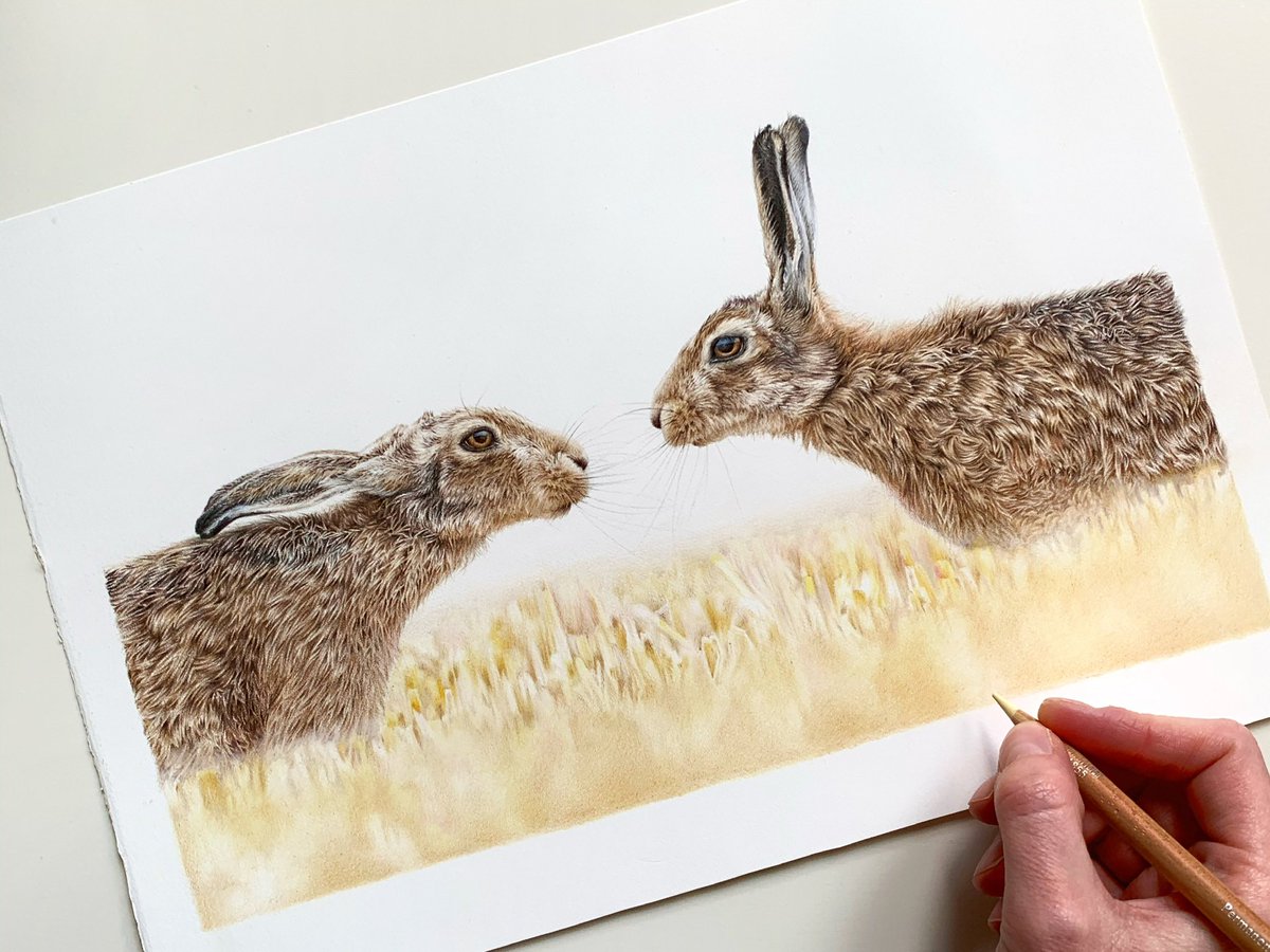 Anna Hamilton Art tweet media