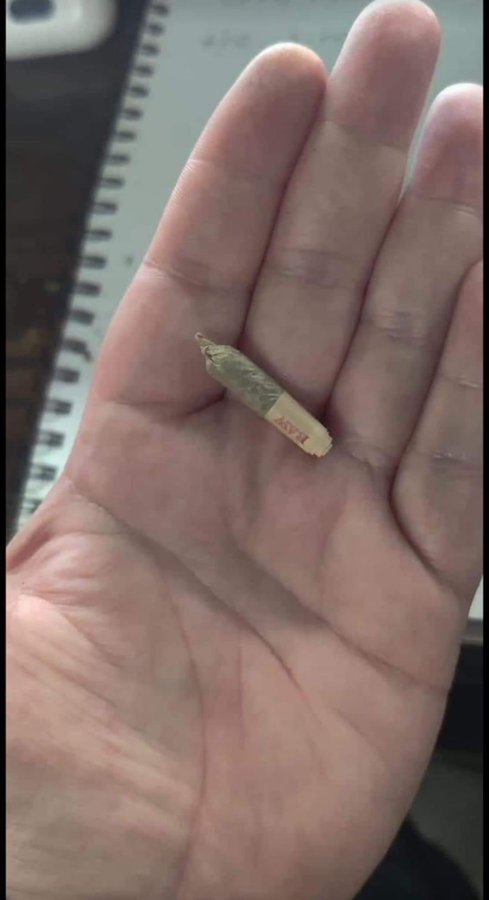 SPACECANNABIS's tweet image. eu enquanto meu salario não pinga