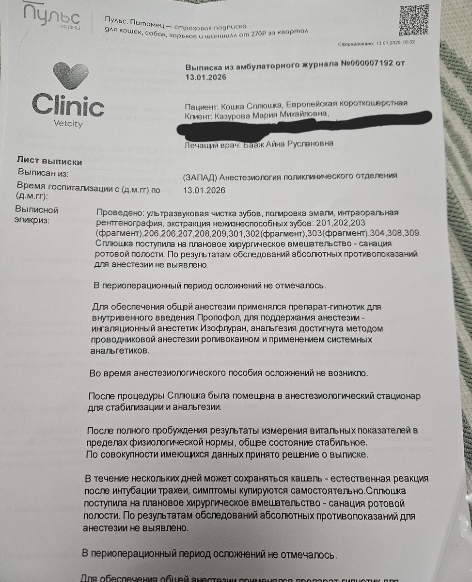 teacherrka's tweet image. Сплюшенька прошла заключительный этап операции по удалению зубиков 🥹 помогите пожалуйста нам оплатить операцию если у вас есть такая возможность 💔

tbank.ru/cf/1IVzmWzbWzo

messenger.online.sberbank.ru/sl/UXlNoMYIyl7…