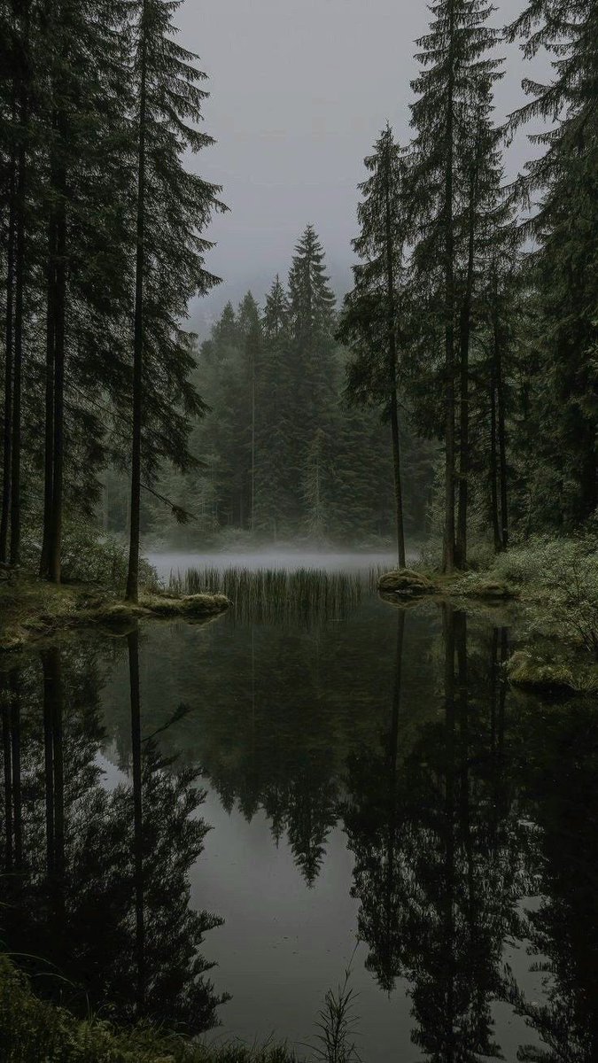 elemmiressoul's tweet image. tranquility.