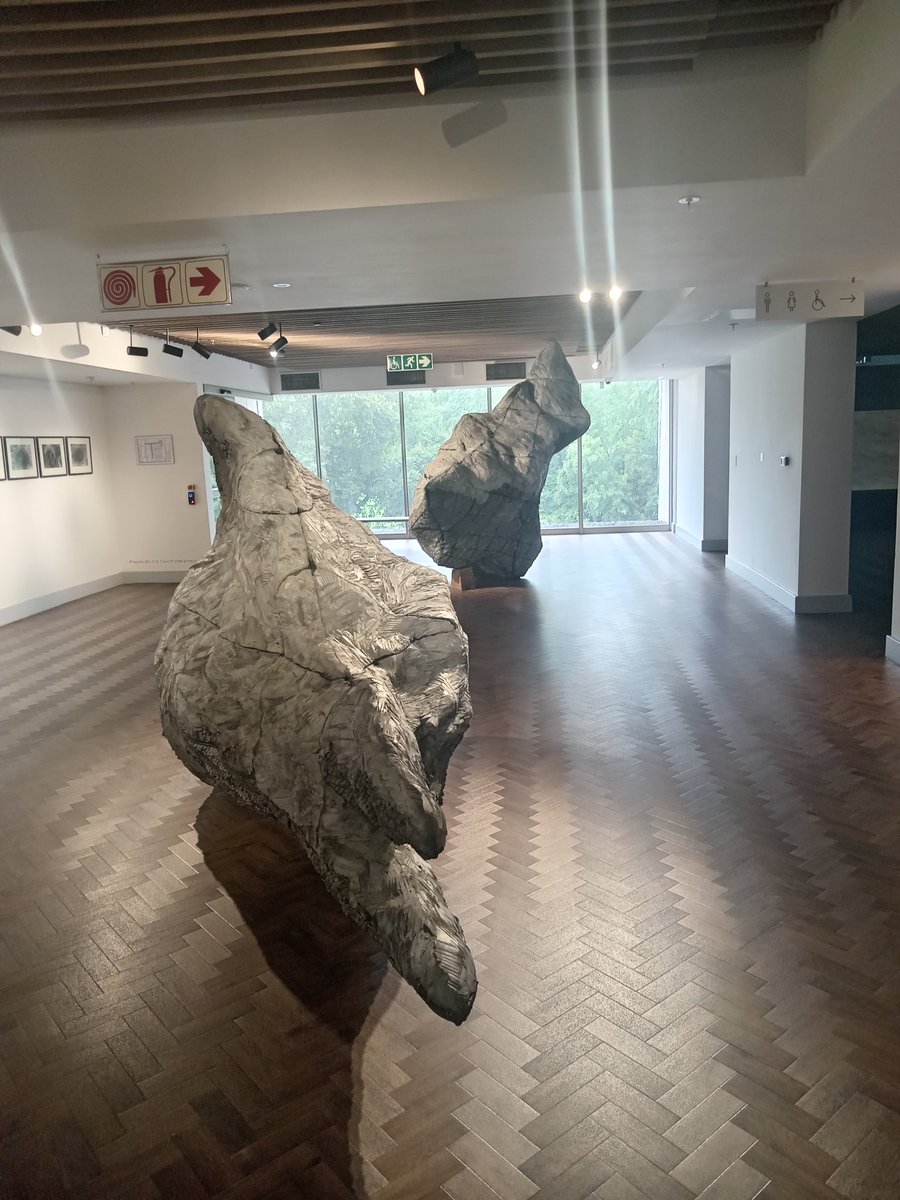 Nando Moeketsi tweet media