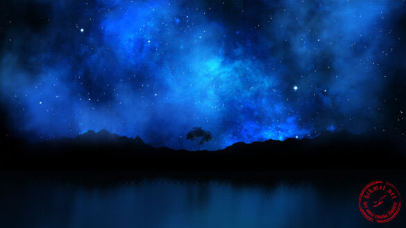 HikmetNet (Soru-Cevap) tweet media