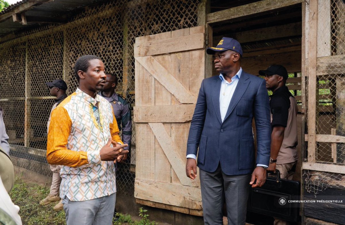 À Kango, le Président de la République, <a href="/oliguinguema/">Brice Clotaire Oligui Nguema</a> , a poursuivi ses visites de terrain consacrées au développement du secteur agricole et de l’élevage.

De fermes avicoles, porcines, halieutiques et maraîchères à la Société Meunière et Avicole du Gabon (SMAG), le Chef de