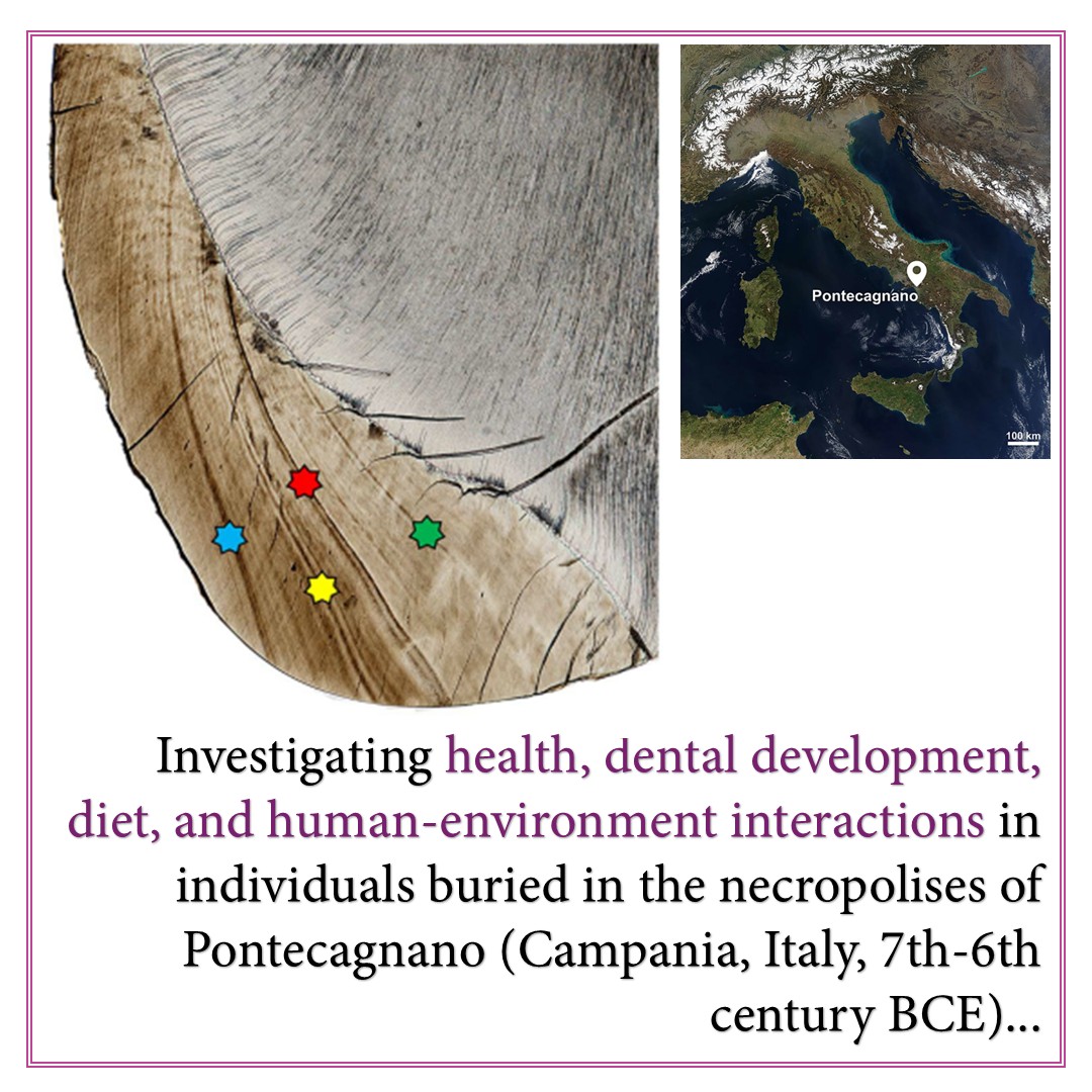 BIOANTH_Lab's tweet photo. 📢📰📢New article on PLoS ONE! Check it out!➡ https://t.co/7ggc0mBTLk https://t.co/lJV3vE0IcM