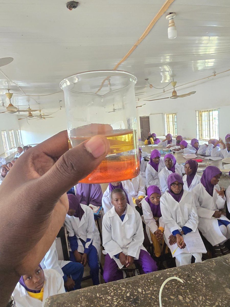 Paradoxxy tweet media