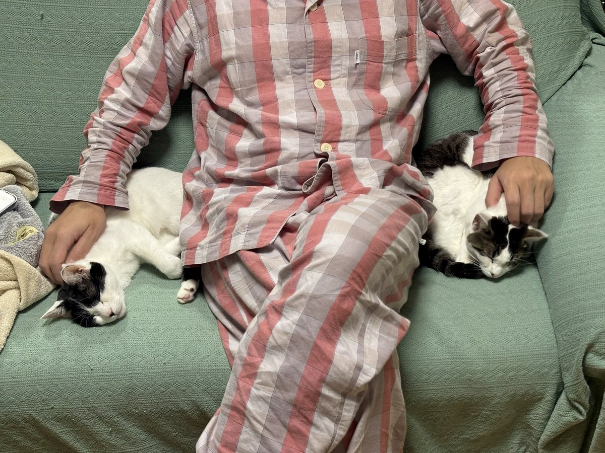 寝ているしおむすびの間に無理やり割り込んで、偽りのハーレムを作って喜んでる夫