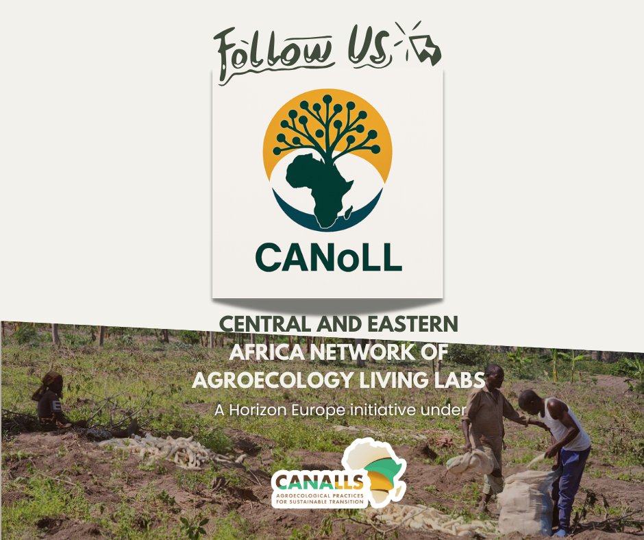 CANALLS Project tweet media