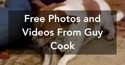 pexels.com/@guy-cook-3561… got a minute?