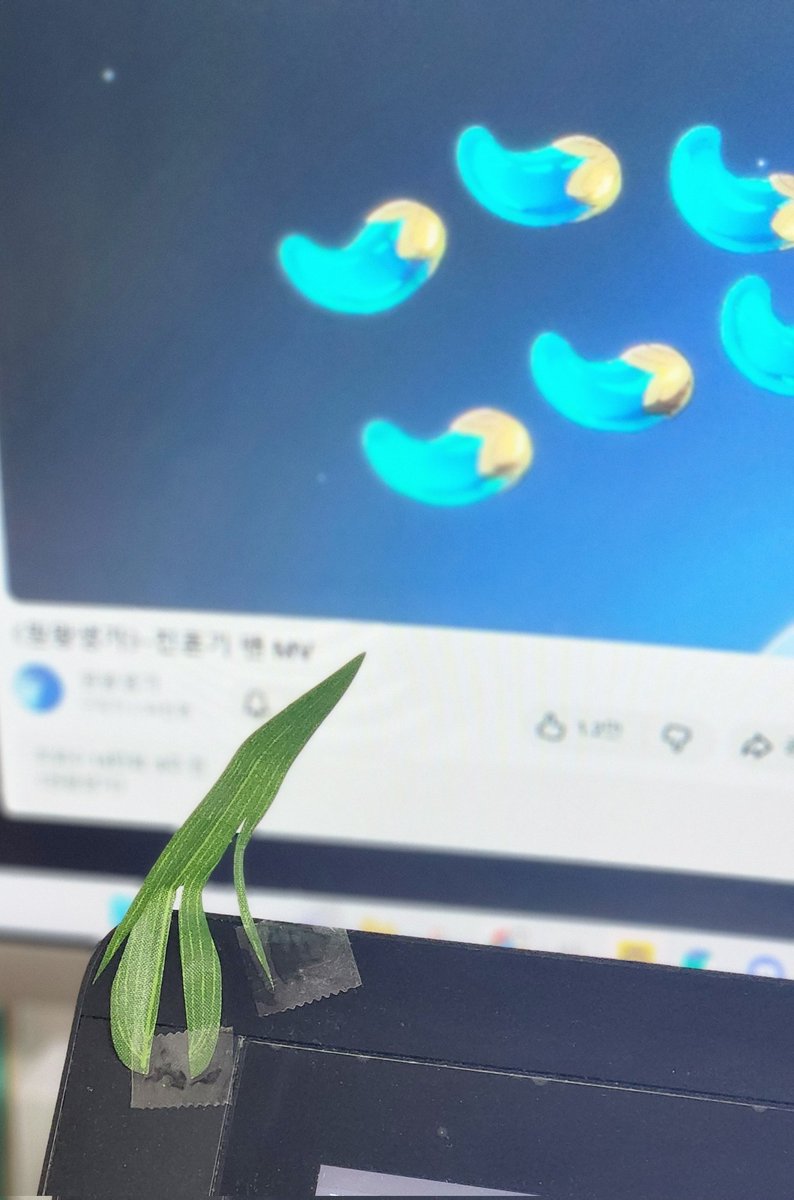 원고 노예로 죽엽군을 생포해왔어요